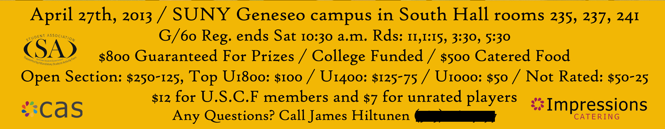 Different flyer made for distribution in the Rochester Chess Club.